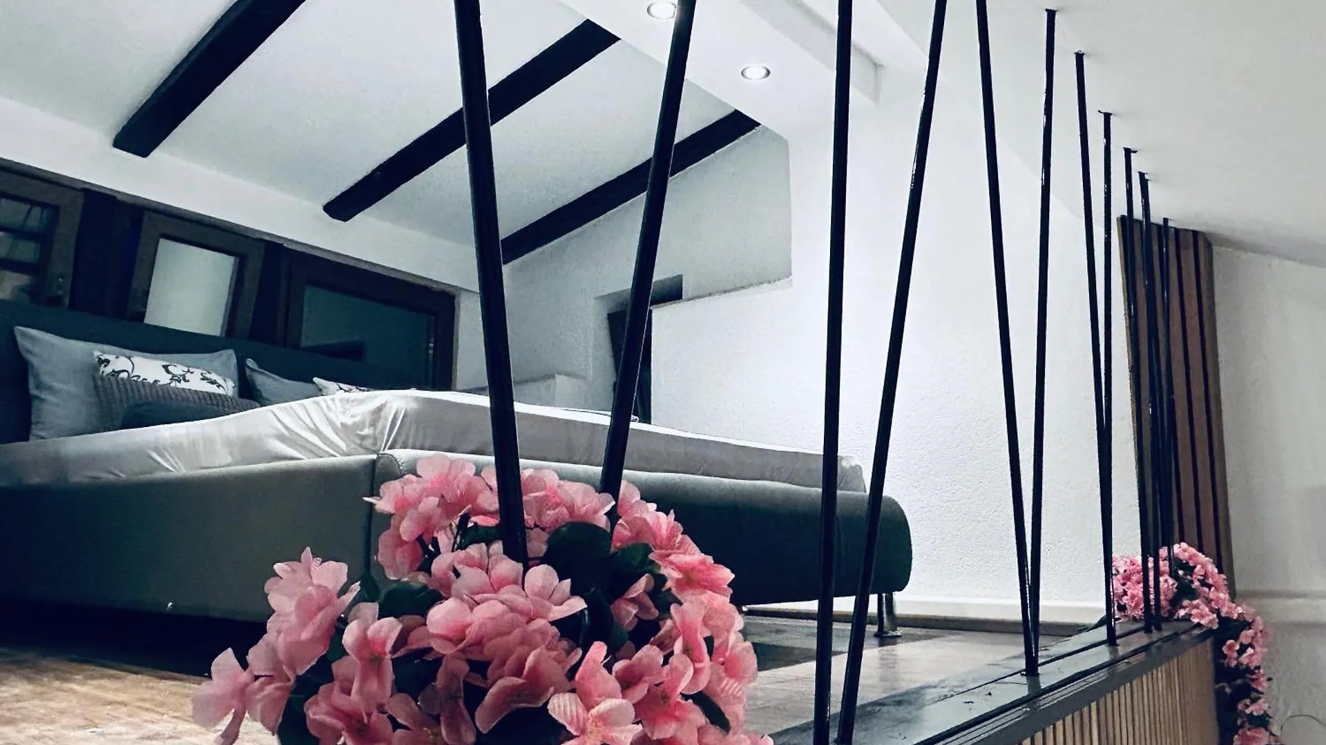 Studio Seven Umag Horvátország